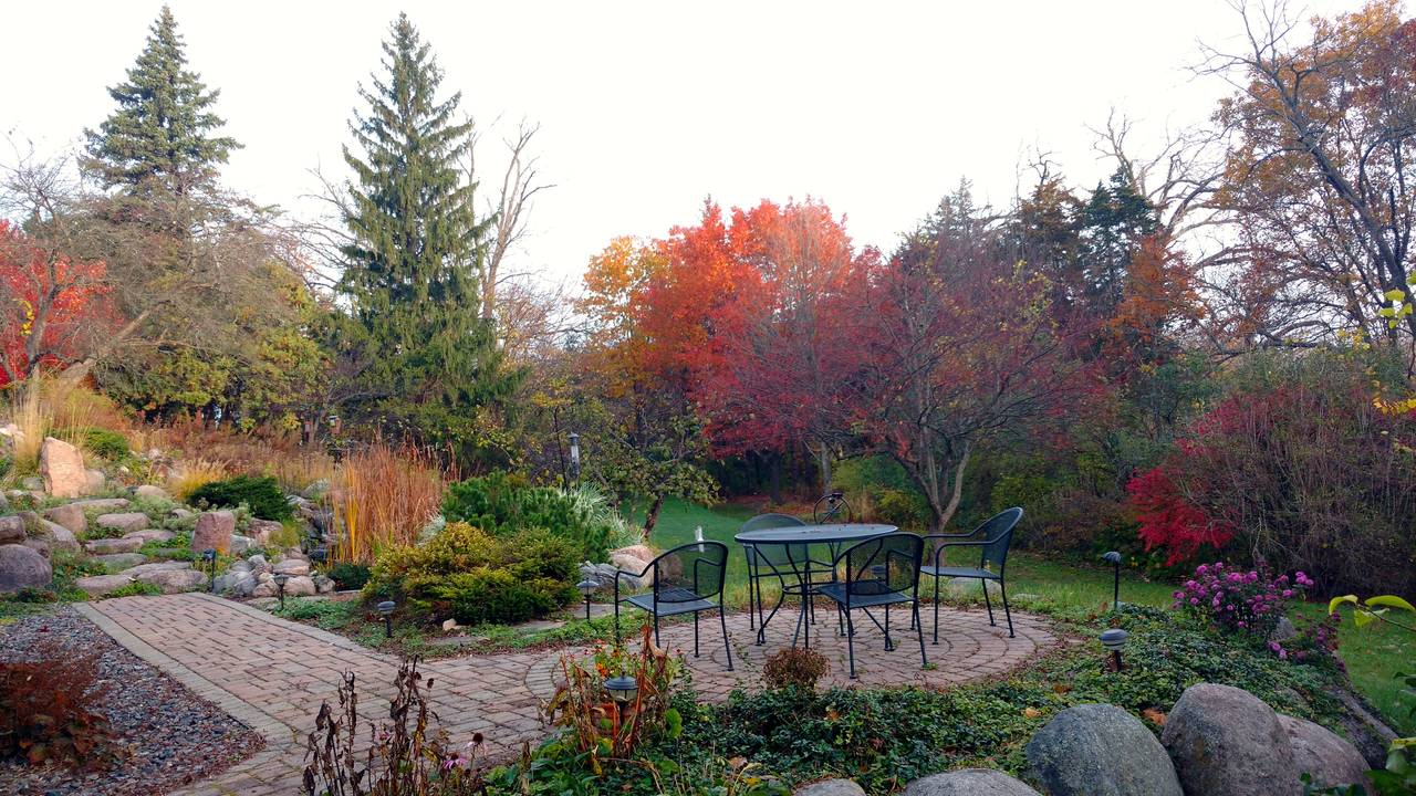 Water garden, lower patio and pool in fall